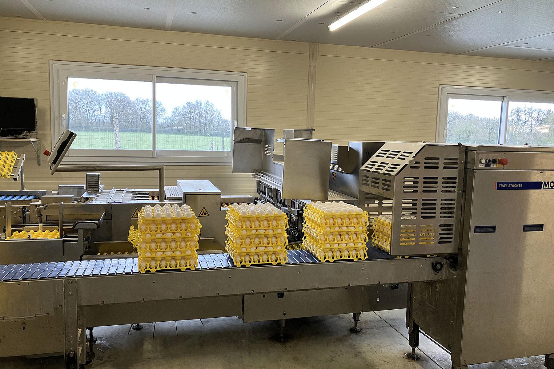 Témoignage en élevage d'œufs de poules H&N