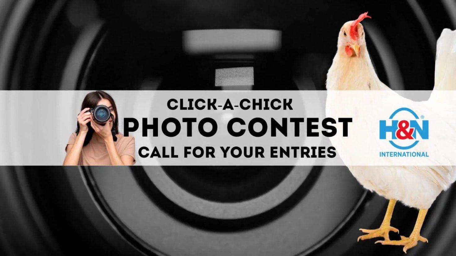 Click-a-chick