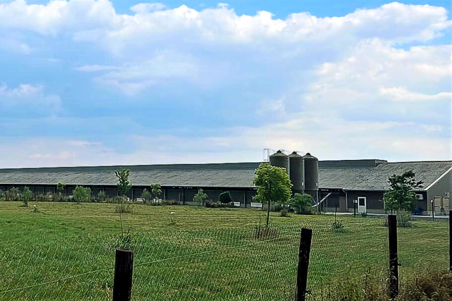 La performance en plein air avec Hy-Line