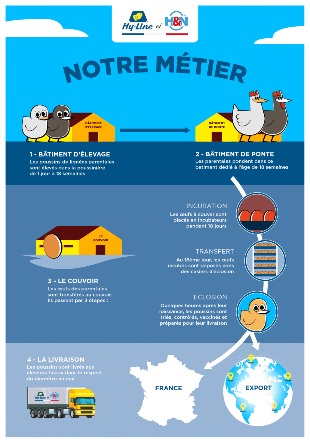 hy line illustration nosoutils 2025